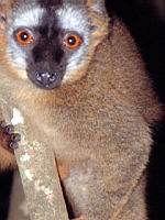 ���� ���� ���